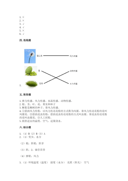 教科版科学四年级下册第一单元《植物的生长变化》测试卷【含答案】.docx