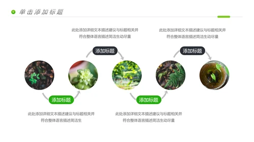 唯美绿色植物生长发芽敬畏生命PPT模板