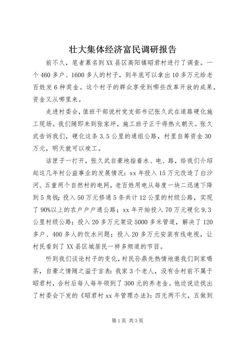 壮大集体经济富民调研报告.docx