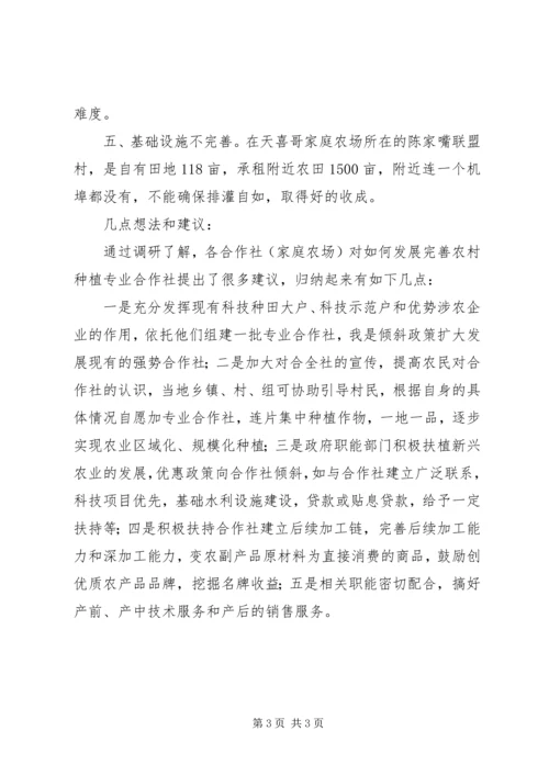 县工商资本下乡投入种植业的情况调查汇报.docx