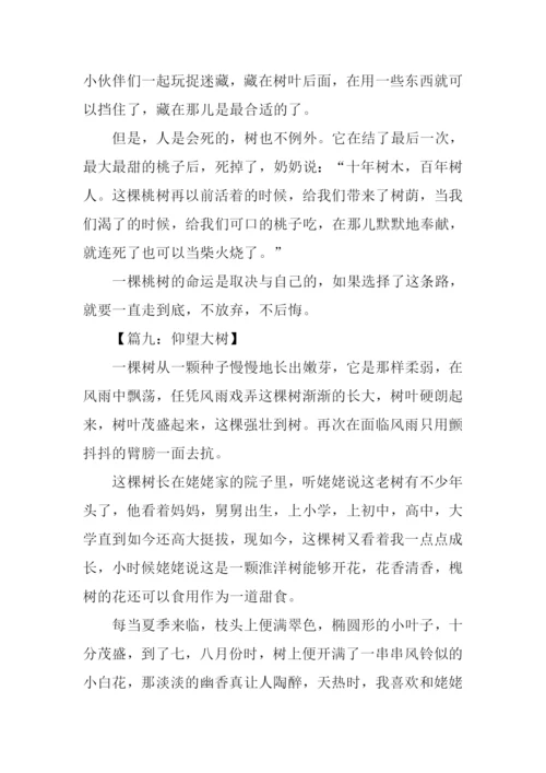 仰望大树作文600字借物抒情.docx