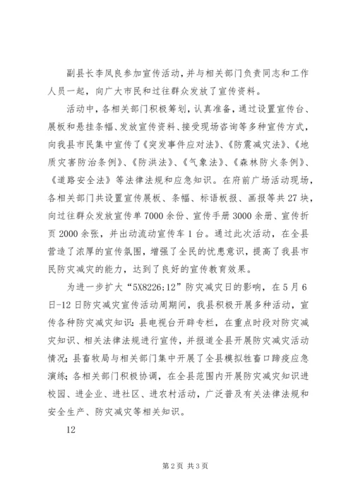县民政局防灾减灾日宣传活动简讯 (2).docx