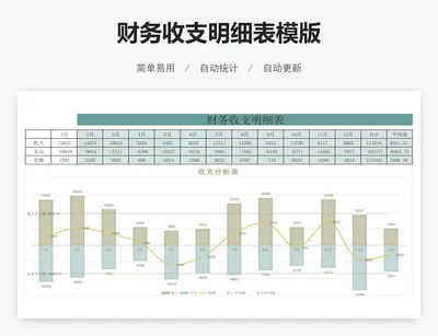 财务收支明细表模版