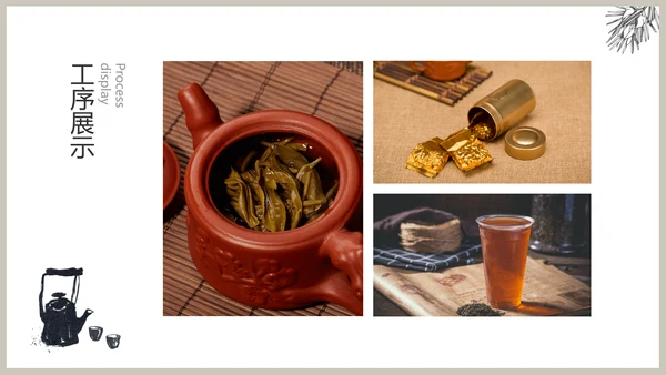 白色春茶产品介绍宣传手册