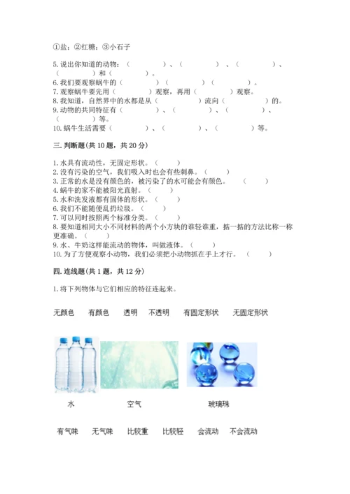 教科版一年级下册科学期末测试卷（全优）.docx