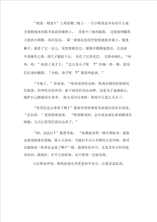 壁虎给人类带来的启示作文