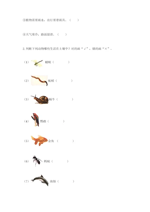 教科版小学二年级上册科学期末测试卷【word】.docx