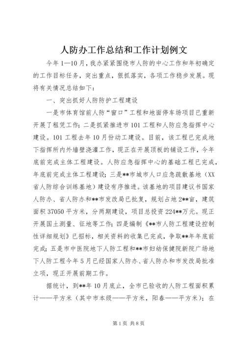 人防办工作总结和工作计划例文.docx