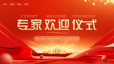 欢迎专家欢迎仪式PPT模板