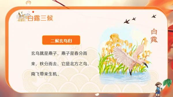 秋色白露节气，秋意浓通用PPT模板