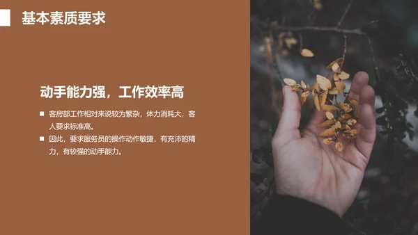 酒店客房服务礼仪PPT课件模板