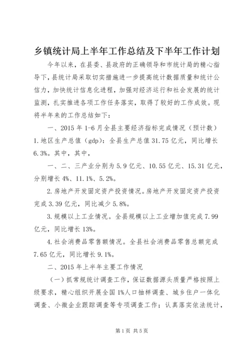 乡镇统计局上半年工作总结及下半年工作计划.docx