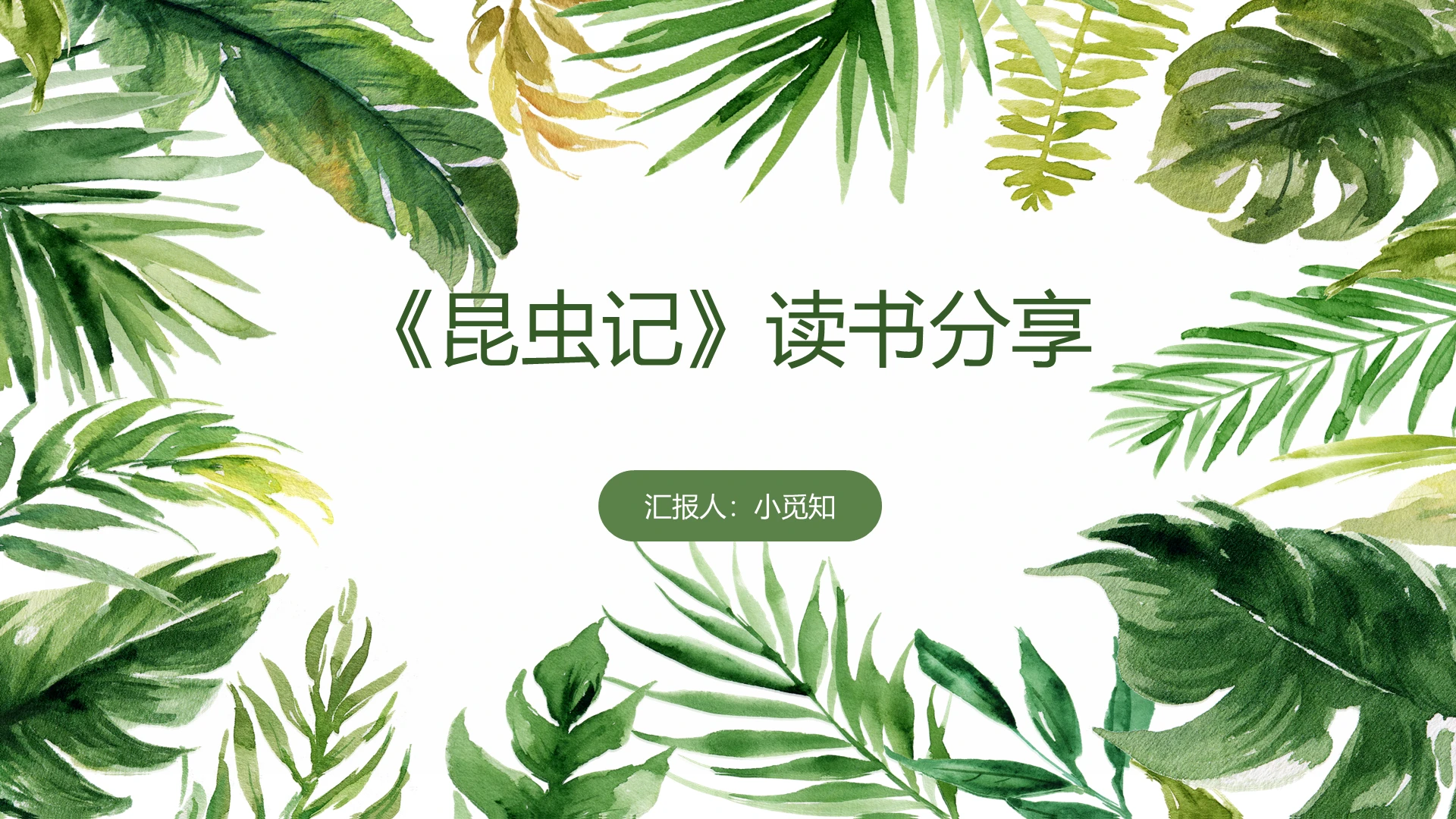 绿叶夏日读书分享语文课件PPT昆虫记ppt