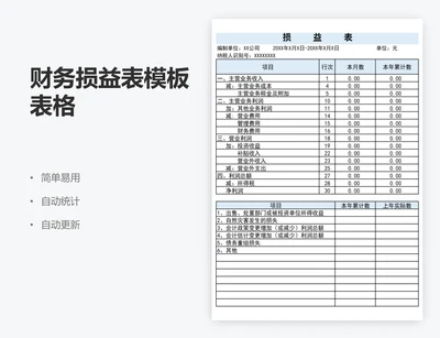 财务损益表模板表格