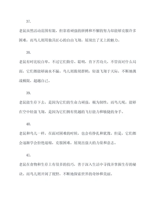 老鼠和鸟谚语