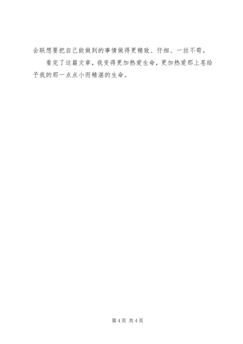 贝壳席慕容读后感.docx