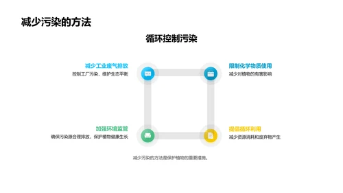 植物多样性教学PPT模板