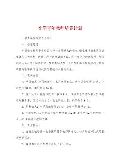 小学青年教师培养计划