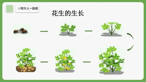 《语文园地六》课件