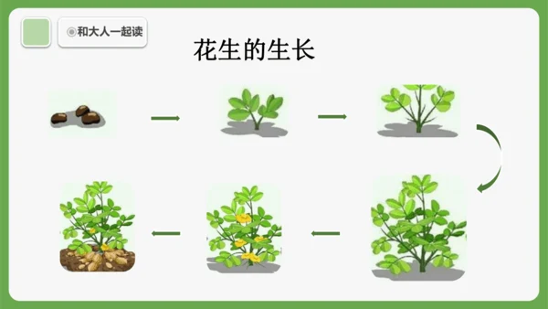 《语文园地六》课件