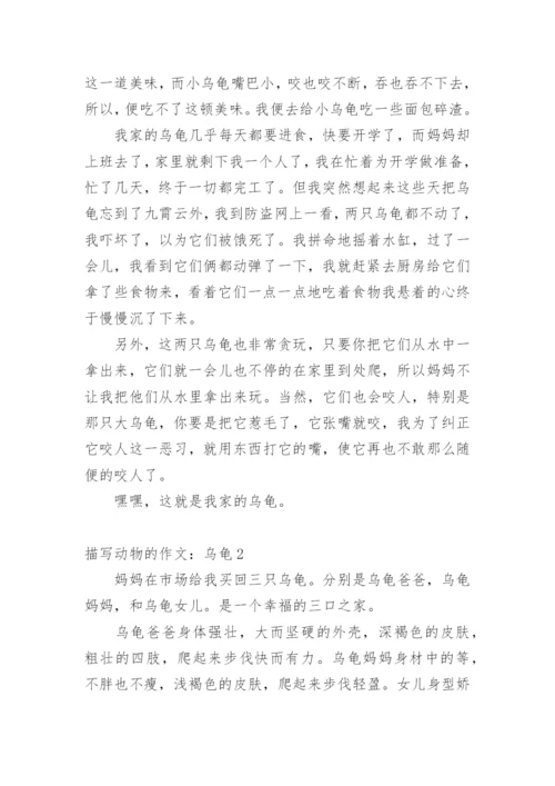 描写动物的作文：乌龟.docx