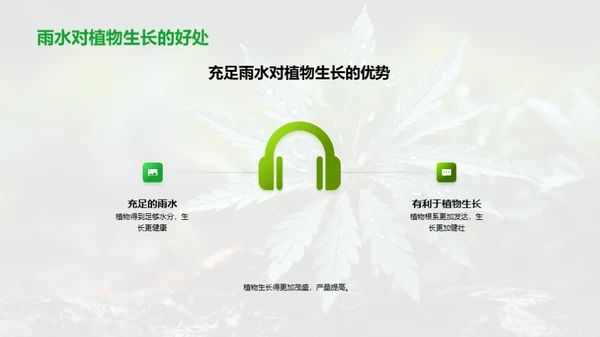 谷雨节气与环保