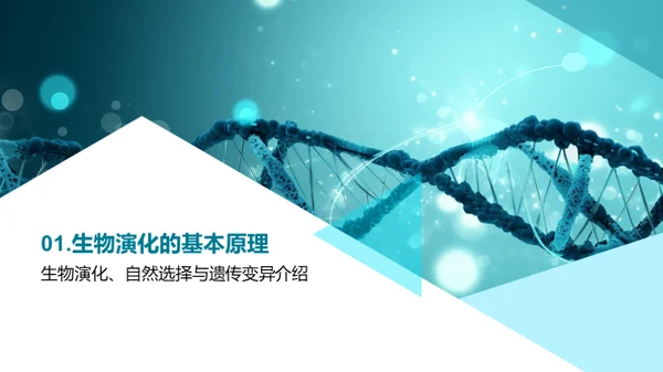 探索生物演化之谜