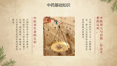 简约手绘中国风中医中药传统养护理普PPT模板