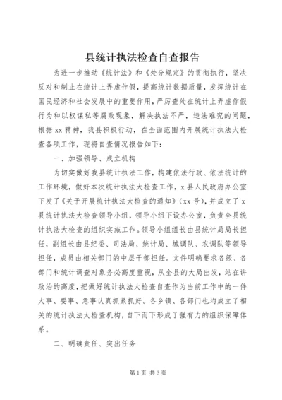 县统计执法检查自查报告 (3).docx