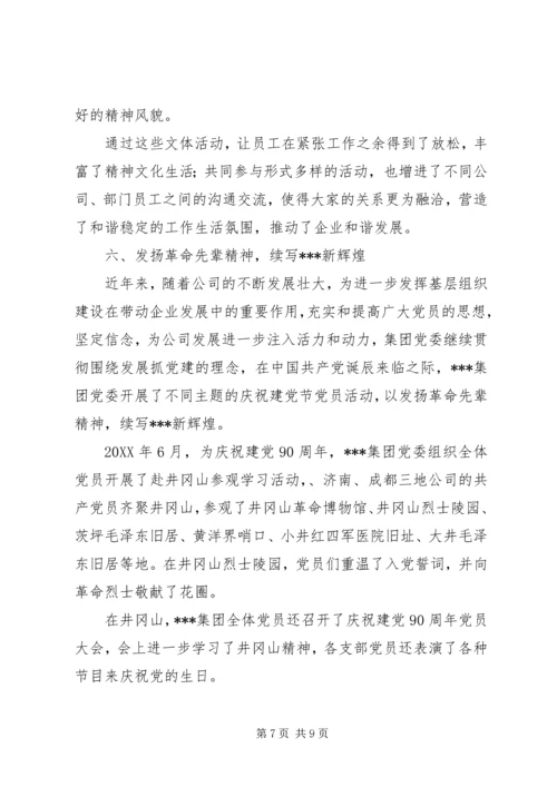 某集团公司党建工作纪实.docx