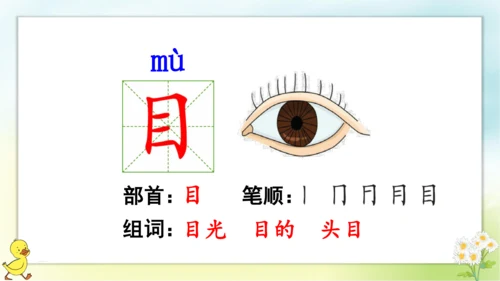 识字3 口耳目   课件