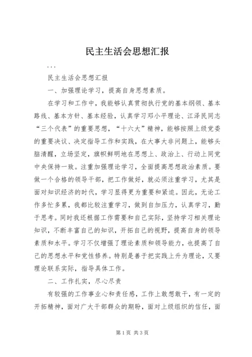 民主生活会思想汇报 (7).docx