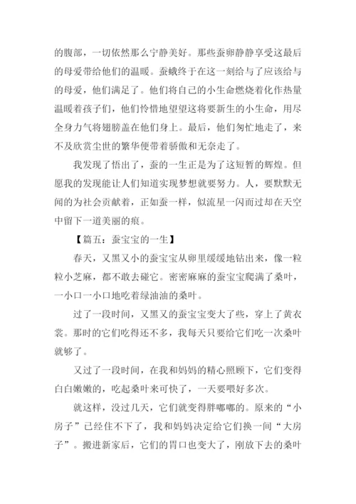 蚕的一生作文300字.docx