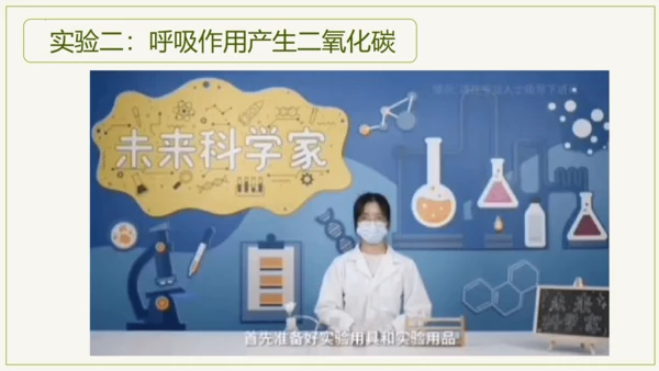 3.5.2 绿色植物的呼吸作用（课件）七年级生物上学期（人教版）(共32张PPT)