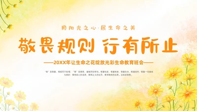 敬畏规则行有所止生命教育主题班会PPT课件