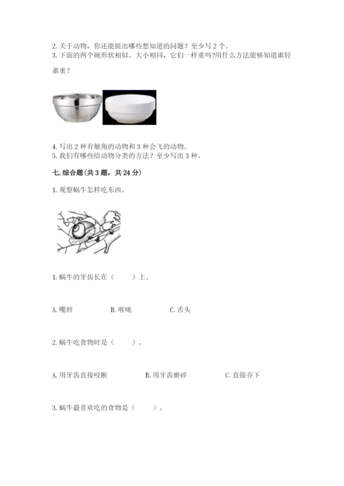 教科版小学科学一年级下册期末测试卷完整答案.docx