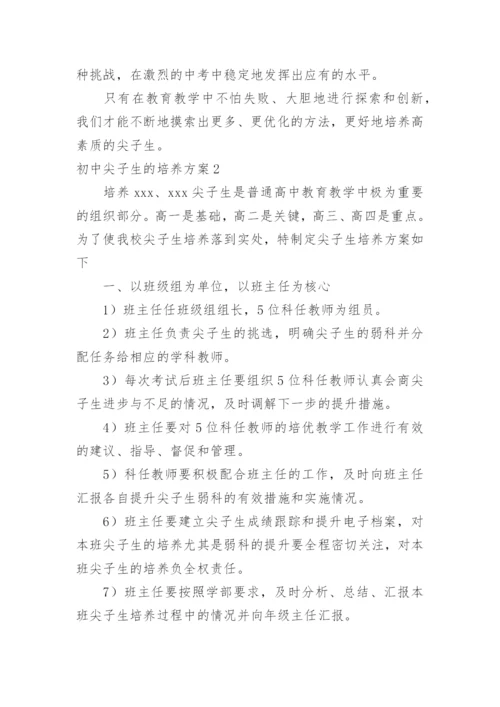 初中尖子生的培养方案.docx