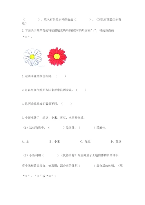 教科版小学科学一年级下册期末测试卷及参考答案（研优卷）.docx