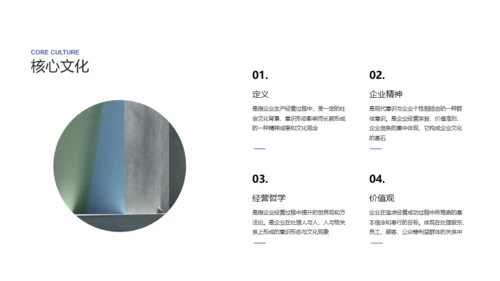 蓝色简约企业文化PPT案例