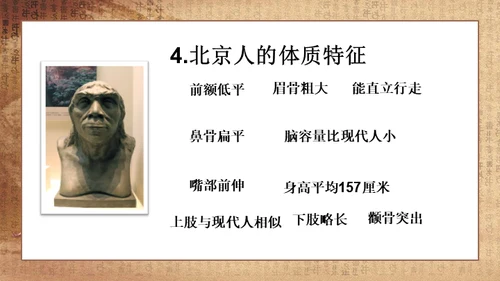 初中历史《人类起源》教学通用PPT课件