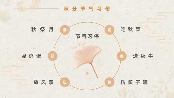 淡橙色简约中国风秋分节气PPT模板