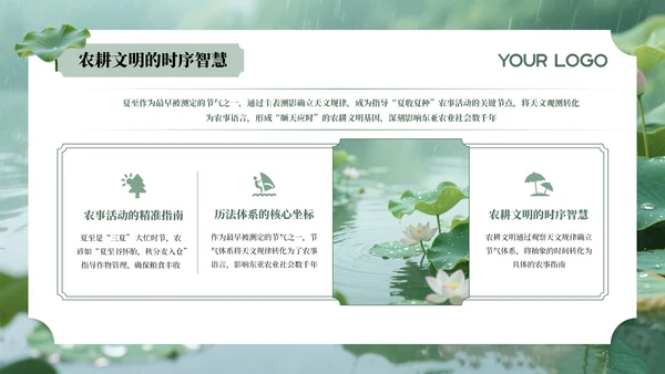 绿色夏至节气介绍通用PPT模板