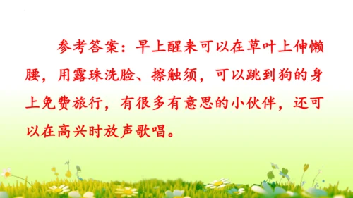 11.我是一只小虫子 课件