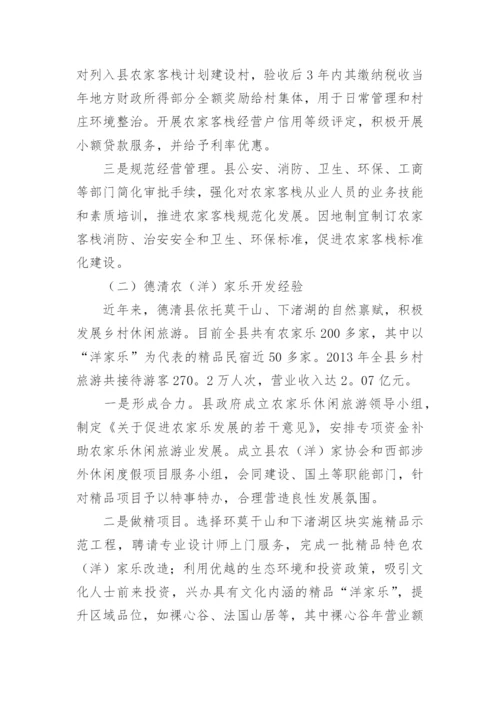 民宿产业调研报告.docx