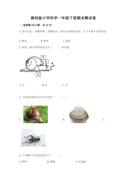 教科版小学科学一年级下册期末测试卷附答案（达标题）.docx