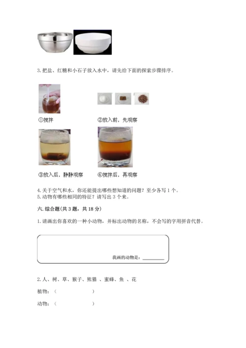 教科版一年级下册科学期末测试卷及参考答案【综合题】.docx