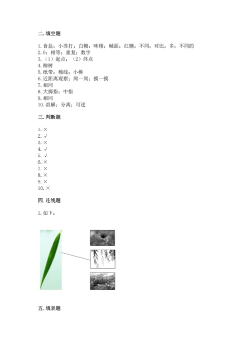 教科版一年级上册科学期末测试卷及参考答案【考试直接用】.docx