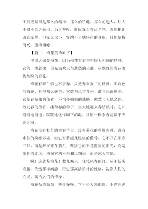 梅花的作文0.docx
