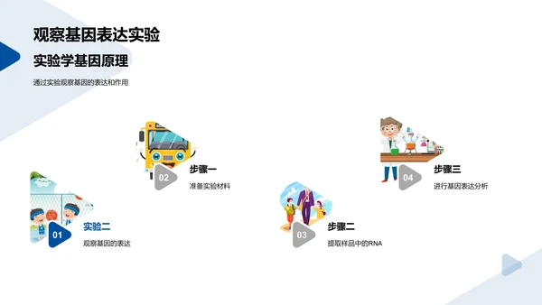 生物教学：基因知识