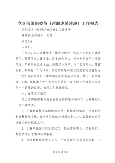 党支部组织委员《述职述绩述廉》工作报告.docx